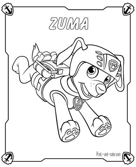 Zuma is a chocolate labrador retriever who serves as an aquatic rescue pup. Paw Patrol coloring pages | Print and Color.com