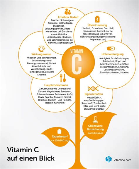 Infografiken Zu Allen Vitaminen Vitamine Vitamin C