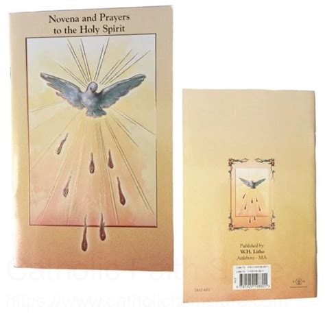 Holy Spirit Novena Prayer Pamphlet Pack Of 10