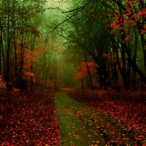 [50+] Autumn Wallpapers for iPad | WallpaperSafari
