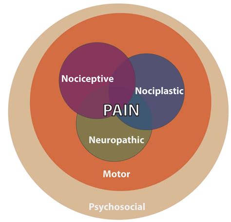 A Mechanistic Approach To Pain Management Applying The Biopsychosocial