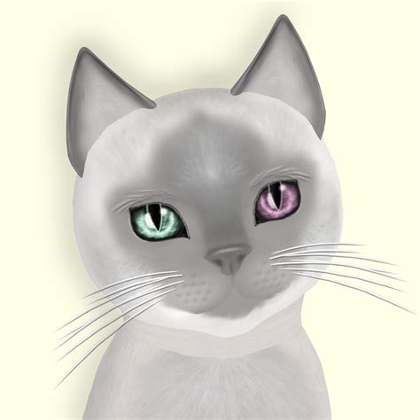 Siamese Lilac Fur Kittycats Breedables Wiki Fandom
