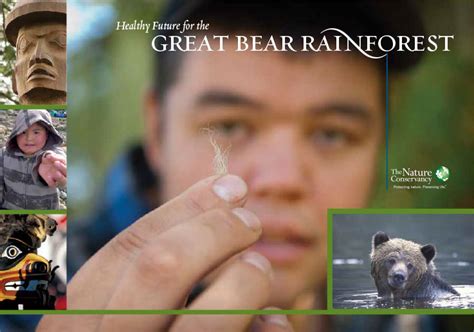 Great Bear Rainforest Brochure On Behance