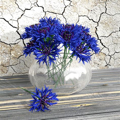 Blue Cornflowerpictures Of Flowers