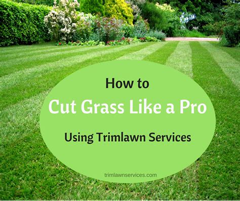 How To Cut Grass Like A Pro Learn How To Mow Your Lawn Cor Flickr