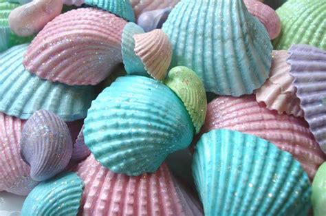Such Pretty Things Shabby Seashells