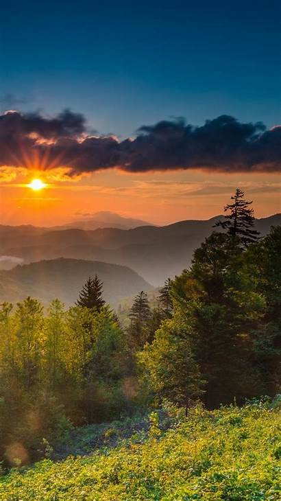 Carolina North Mountains Sunrise Trees Fog Morning