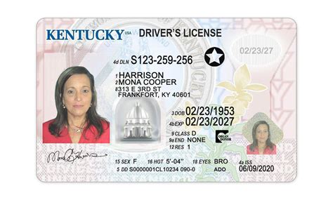 Kentucky Drivers License Template Edit Dl