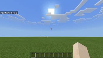 These coordinates are hidden in the debug screen in the computer versions of minecraft. How can someone find the Woodland Mansion in Minecraft PE ...
