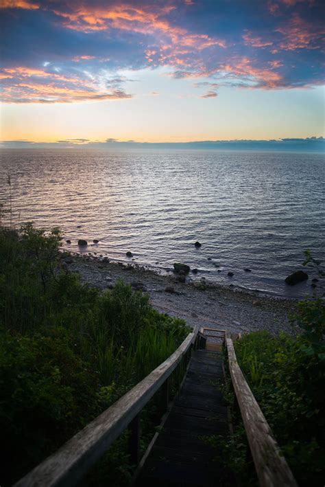 Wedding florists · long island, ny. Pin by Joanne Tworkowski on ☼ summertime ☼ | Island ...