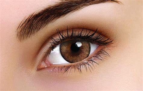 Colourvue Lushy Brown Coloured Contact Lenses