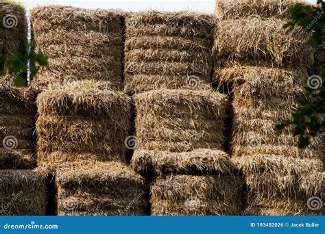 Hay Large Bales Round Bales Are Harder To Handle Than Square Bales But
