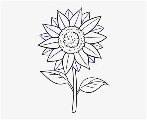 Sunflower Drawing Easy At Explore Collection Of