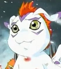 Il s agit du partenaire. Gomamon Voice - Digimon franchise | Behind The Voice Actors