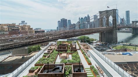 They operate one of the largest rooftop soil farms, have two operating farms in nyc, and grow a total of 50,000 pounds of organic produce. See a Rooftop Garden in Brooklyn Inspired by the High Line ...