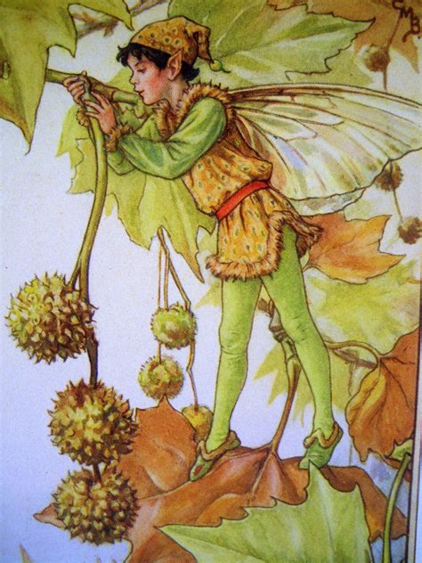 The Plane Tree Fairy By Cicely Mary Barker Vintage Fairies Flower