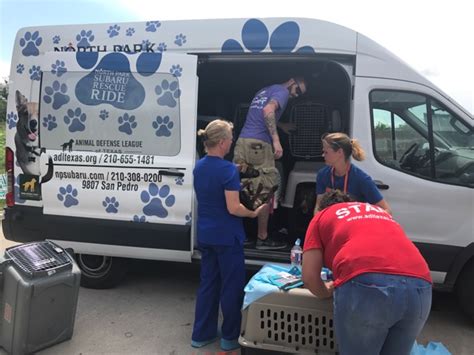 Free mobile spay/neuter clinics in underserved communities throughout the. Lucy Pet Foundation Deploys to Assist Animals Affected by ...
