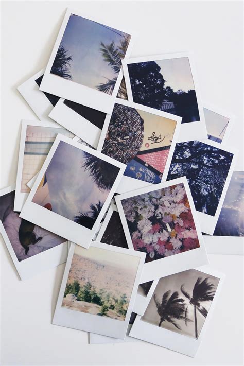 color i type film in 2020 polaroid photography poloroid pictures polaroid pictures