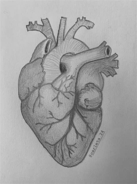 Dibujo A Lápiz De Corazón Real Como Dibujar A Lapiz Dibujos De