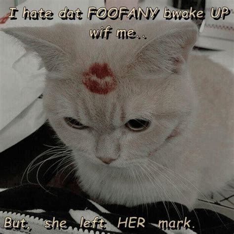 i hate dat foofany bwoke up wif me lolcats lol cat memes funny cats funny cat