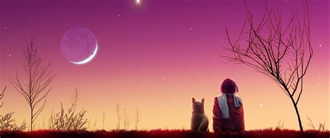 Anime Girl Watches The Sunset With Her Cat Hd Wallpaper 4k