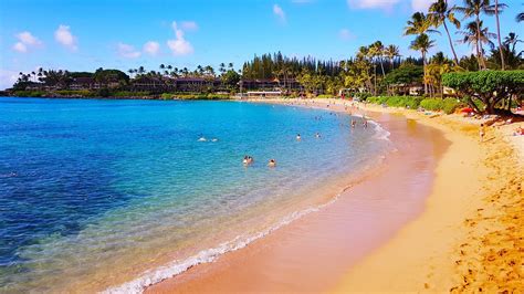 Napili Beach Lahaina All You Need To Know Before You Go