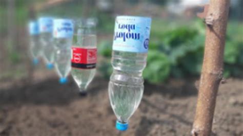 Plastic Bottle Drip Water Irrigation System Very Very Simple Youtube