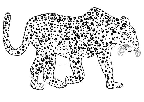 Leopard Coloring Pages And Books 100 Free And Printable