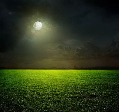 Grass At Night Stock Photos Pictures And Royalty Free Images Istock