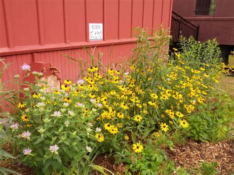 Butterfly And Pollinator Garden At The Dundas Valley Trail Centre