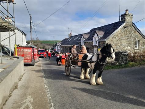 Dyfed Shire Horse Farm Top 100 Attractions