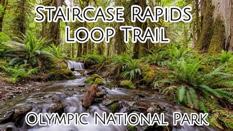 Hiking The Staircase Rapids Loop Trail In Olympic National Park Youtube