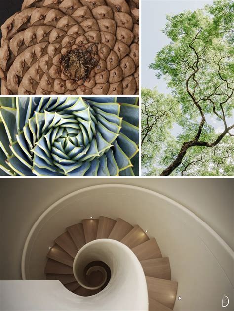 Biophilic Moodboards Fractals In Interiors · Anooi Fractals In