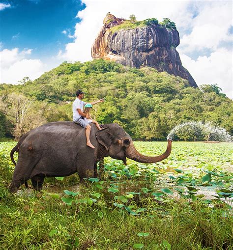 Sri Lanka 12 Days Sightseeing Tour Lanka Safe Tours
