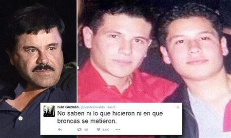 After several deadly battles with rival cartels, sinaloa. El Chapo's two sons surface to threaten the Mexican government' | Daily Mail Online