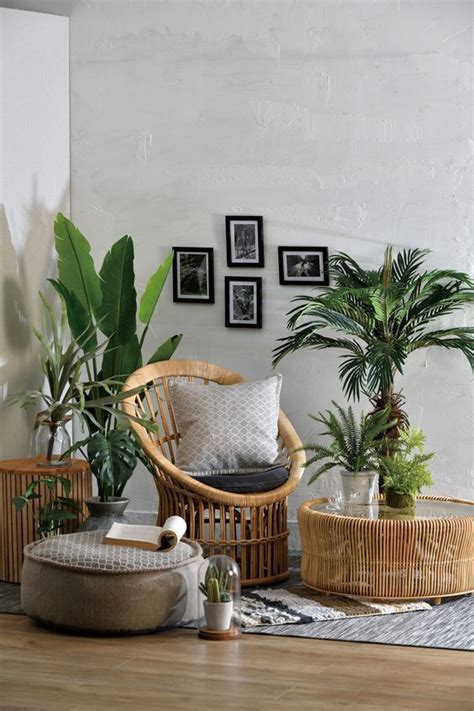 20 Living Room Indoor Plant Ideas Pimphomee