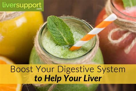 Pointers can be incremented (often in a common. Boosting Your Digestive System Will Help Your Liver