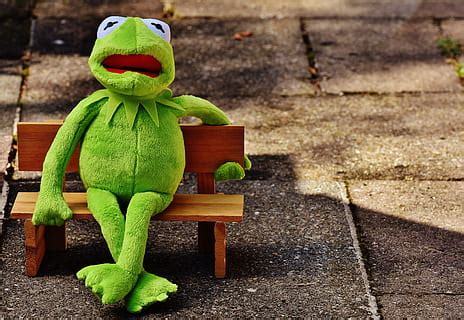 Check spelling or type a new query. HD wallpaper: kermit the frog, toy, textile, drunk, plush ...
