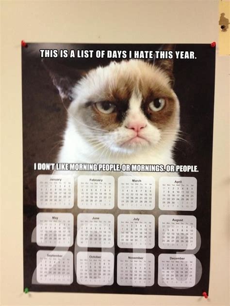 Funny Cat Calendar