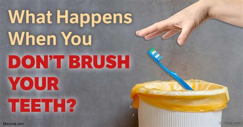 What Happens When You Dont Brush Your Teeth