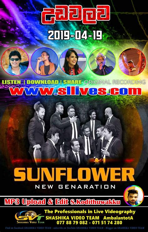 Sunflower Live In Udawalawa 2019 04 19