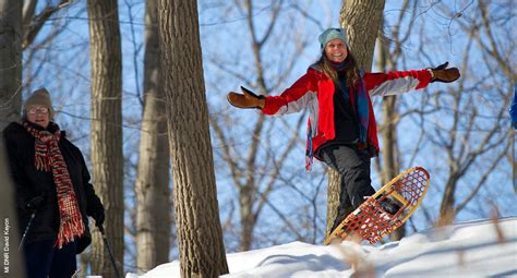 Maybe you would like to learn more about one of these? PJ Hoffmaster State Park - Grand Haven