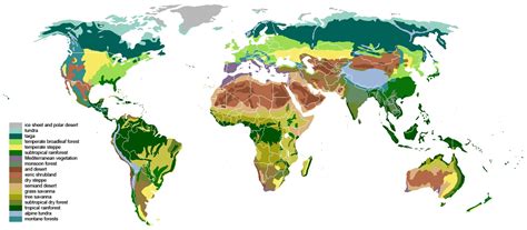 The Worlds Terrestrial Biomes