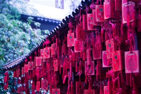 Free Images Rain Flower Crowd Red Color Stage Hangzhou