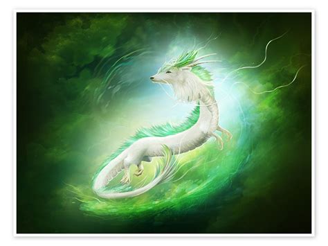 White Dragon Van Elena Dudina Als Poster Canvas Print En Meer