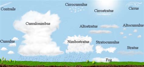 Types Of Clouds