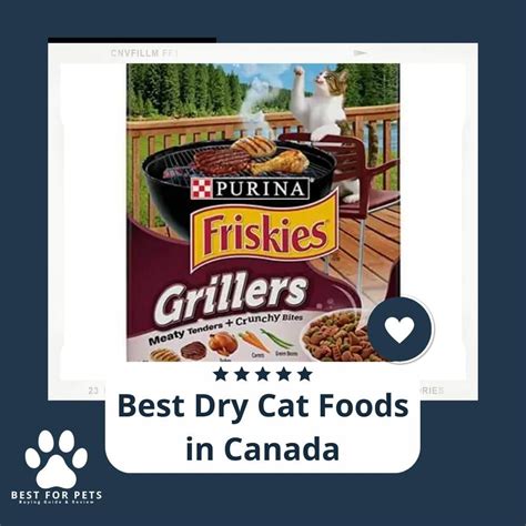 14 Best Dry Cat Foods In Canada