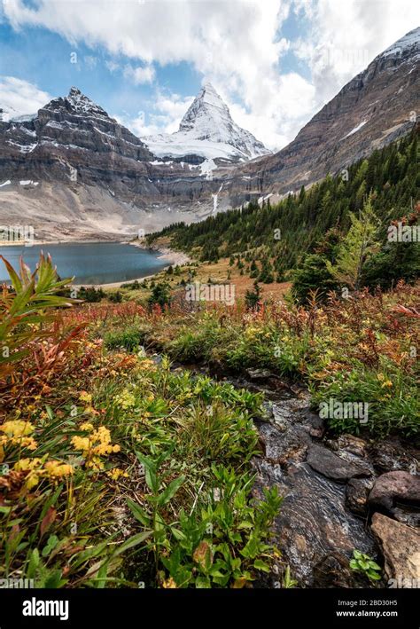 Mount Assiniboine With Lake Magog In Autumn Wilderness At Provincial