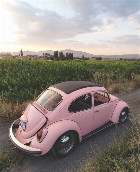Volkswagen Beetle Volkswagen Beetle Vintage Pink Volkswagen