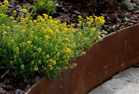 40 Retaining Wall Ideas That Will Elevate Your Landscaping